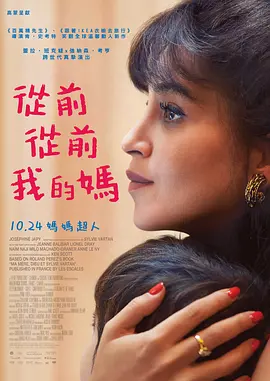 插菊花网