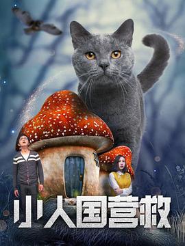 91免费的视频在线播放