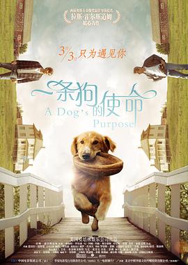 精品国产福利片在线观看