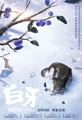 色月丁香