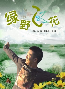怎么更新显卡
