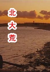纤纤电影电视