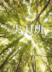 airi头盔