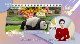 av在线资源网站
